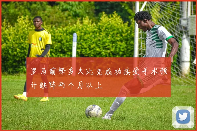 罗马前锋多夫比克成功接受手术预计缺阵两个月以上