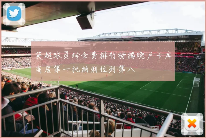 英超球员转会费排行榜揭晓卢卡库高居第一托纳利位列第八