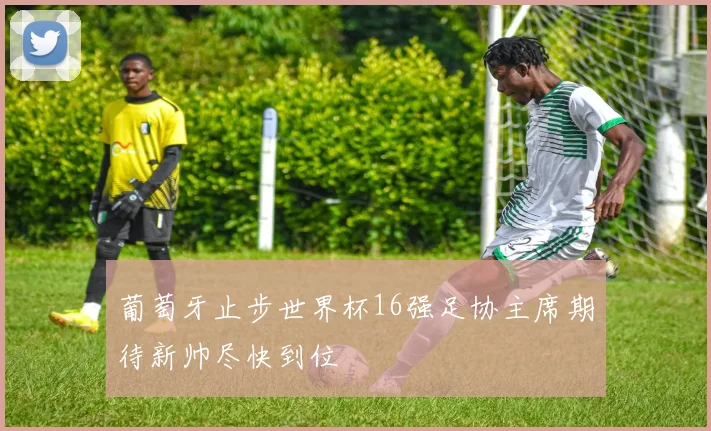 葡萄牙止步世界杯16强足协主席期待新帅尽快到位