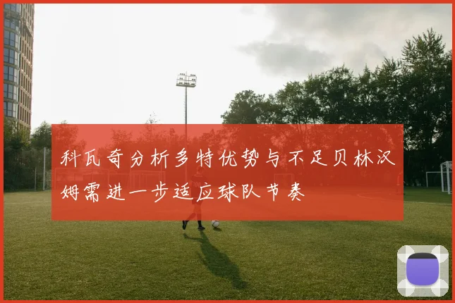 科瓦奇分析多特优势与不足贝林汉姆需进一步适应球队节奏