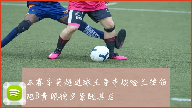 本赛季英超进球王争夺战哈兰德领跑B费佩德罗紧随其后